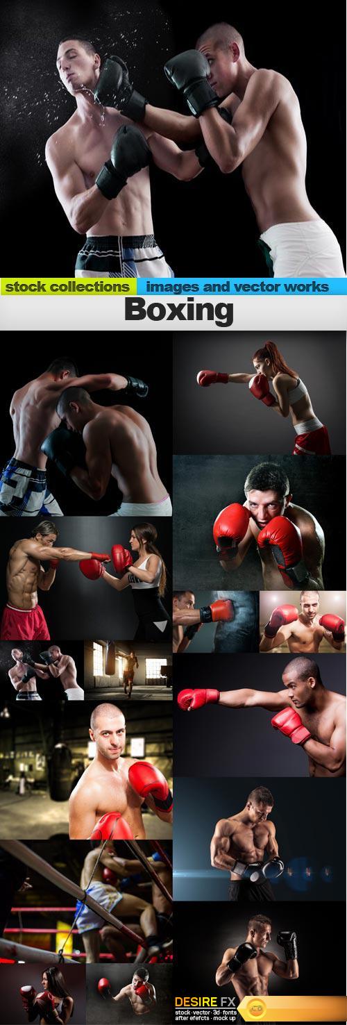 Boxing, 15 x UHQ JPEG