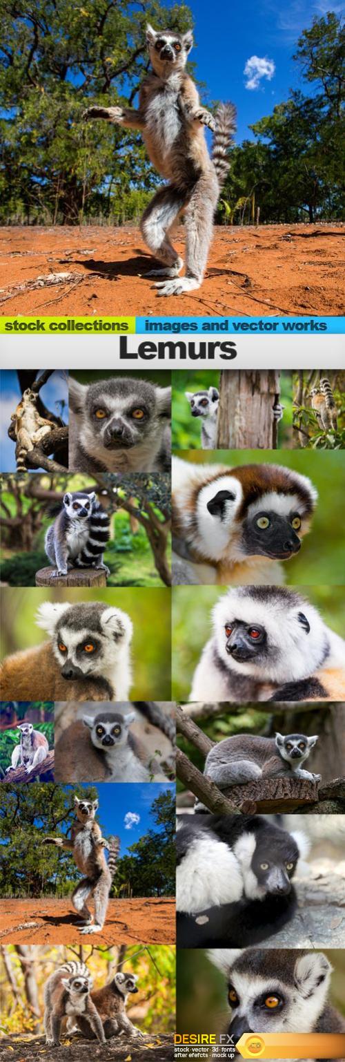 Lemurs, 15 x UHQ JPEG 