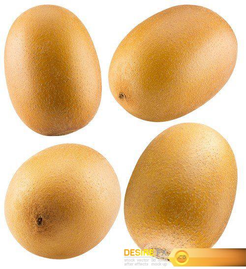 Set melons and kiwis isolated on the white background 9X JPEG