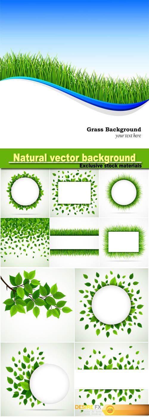 Natural vector background, grass and leaves