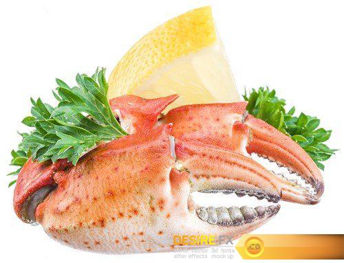 Crab with lemon and herbs 10X JPEG
