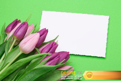 Beautiful tulips and greeting card 17X JPEG