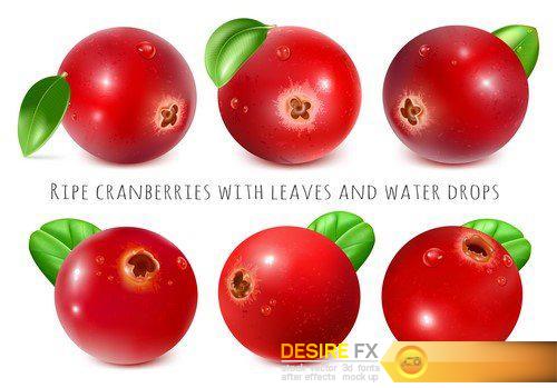 Set of red berries with leaves 17X EPS