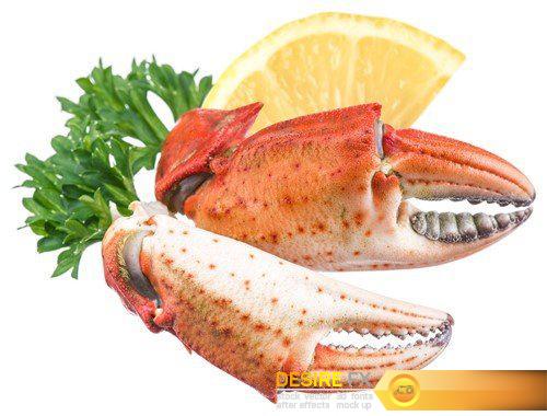 Crab with lemon and herbs 10X JPEG