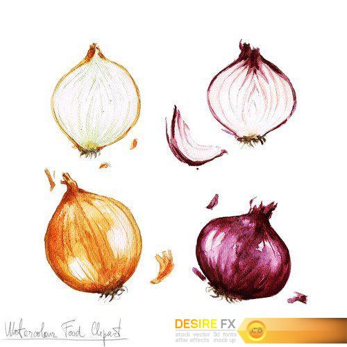 Vegetables hand-drawn watercolor 8X JPEG