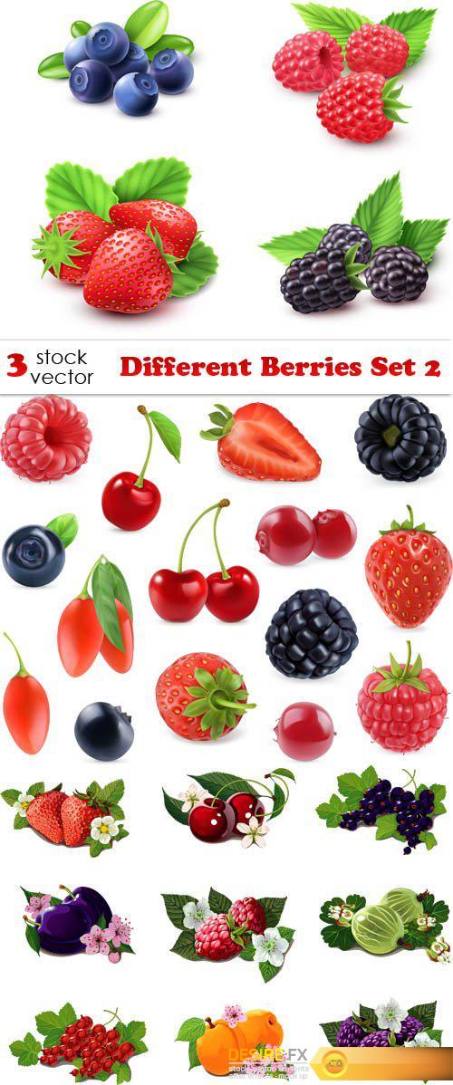 Vectors - Different Berries Set 2