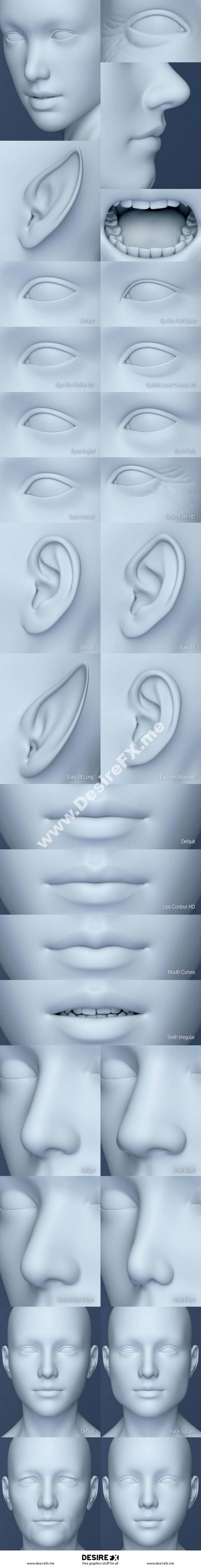 Desire FX 3d models | Genesis 8 Female Head Morphs
