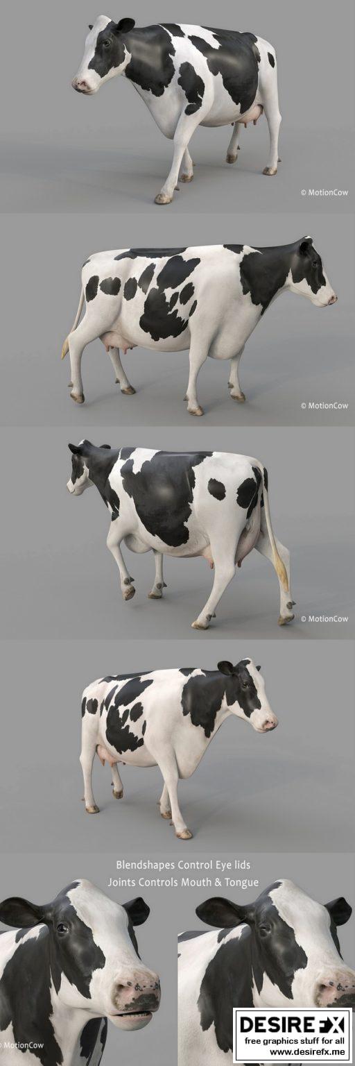 Desire FX 3d models | Cow PRO Holstein 3D model
