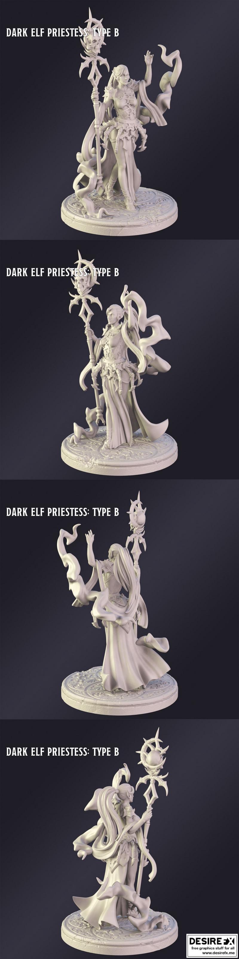 Desire FX 3d models | Dark Elf Priestes Type B