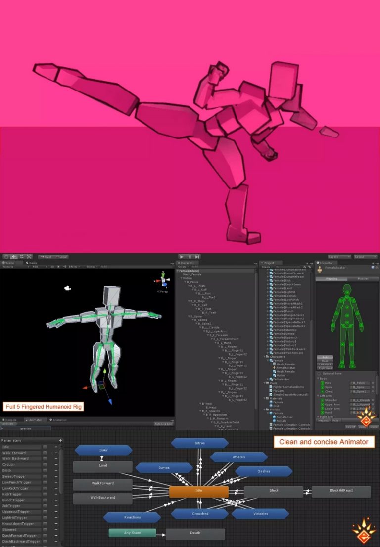 Desire FX 3d models | Female Fighter Mecanim Animation Pack