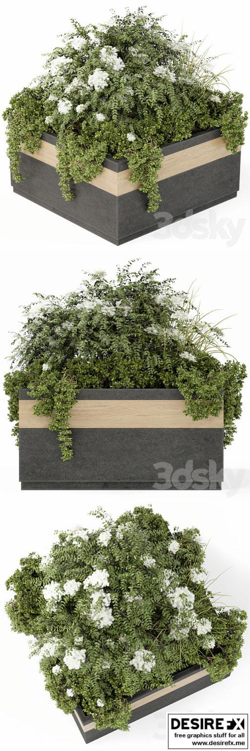 Desire FX 3d models | Outdoor Plant Set 02 – 3D Model