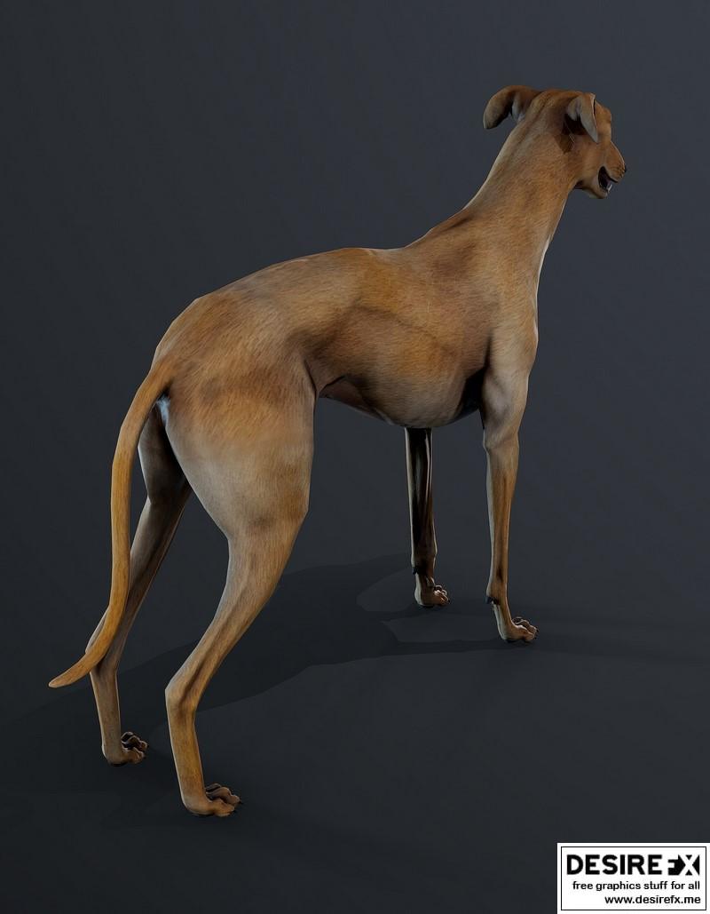 Desire FX 3d models | Galgo