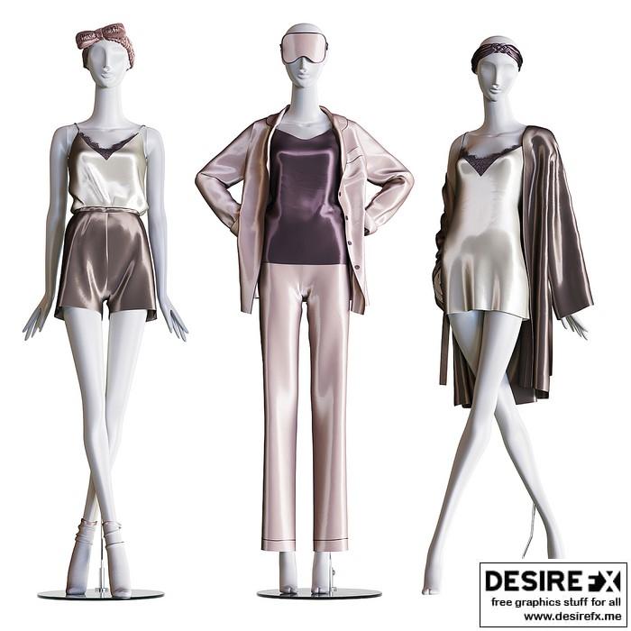 Desire FX 3d models | Set of female home clothes on mannequins