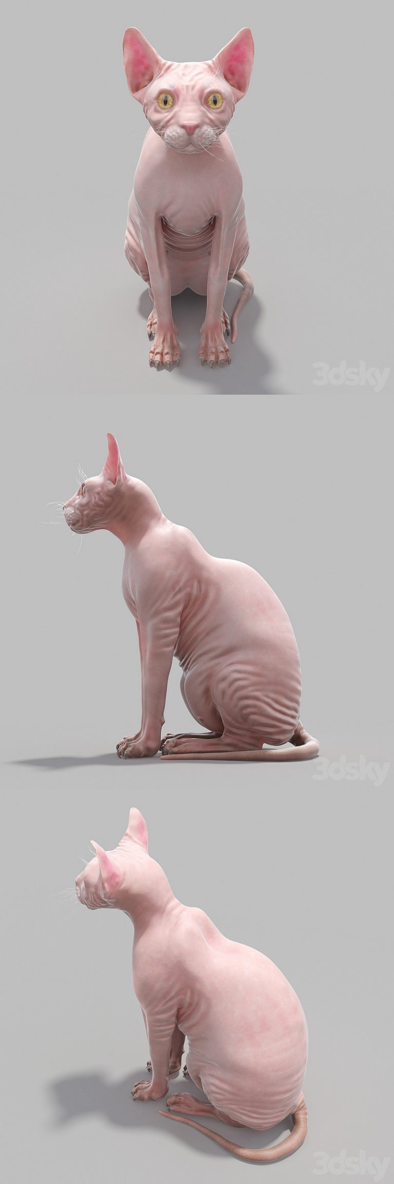 Desire FX 3d models | Sphinx Cat – 3D Model