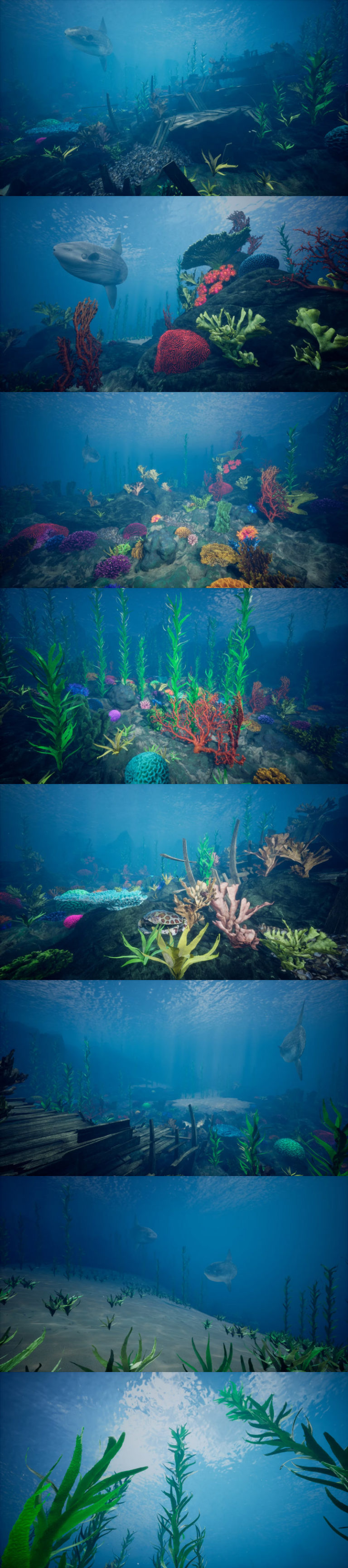 Desire FX 3d models | Ocean Environment Pack 2 – Coral Reef