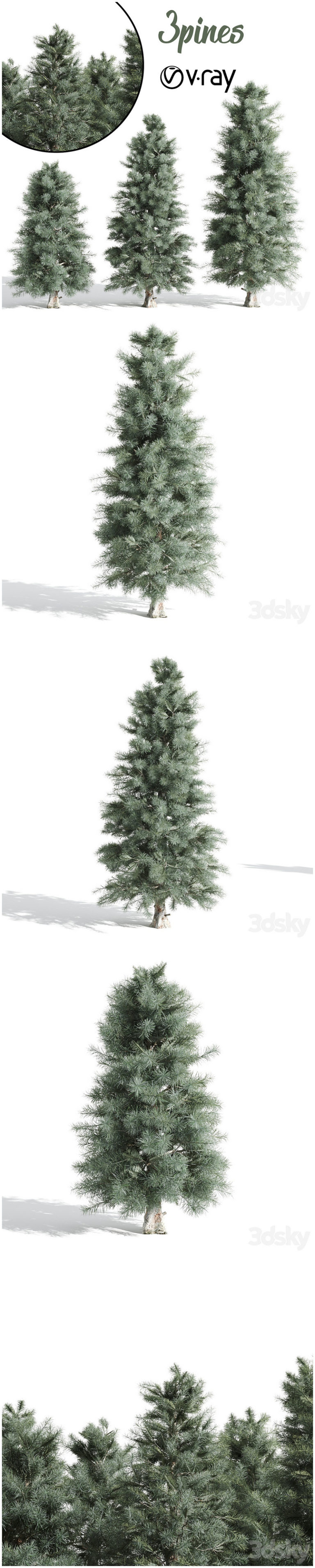 Desire FX 3d models | 3 Pine tree – 3D Model