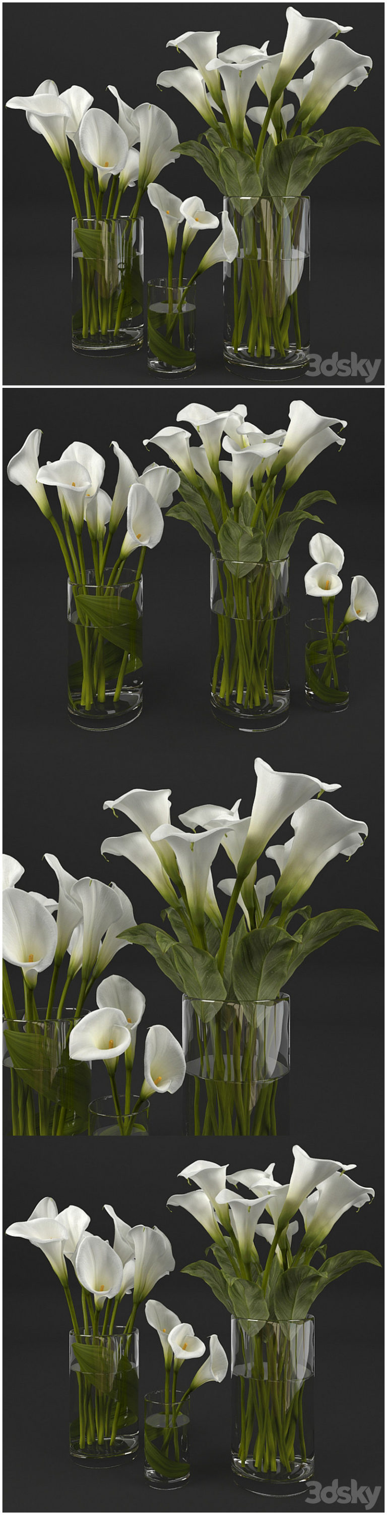 Calla Model Examples Desire FX 3d models | Calla lily – 3D Model