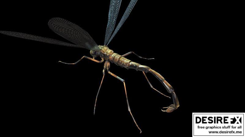 Desire FX 3d models | MosquitoVampire flying insect Low-poly 3D model