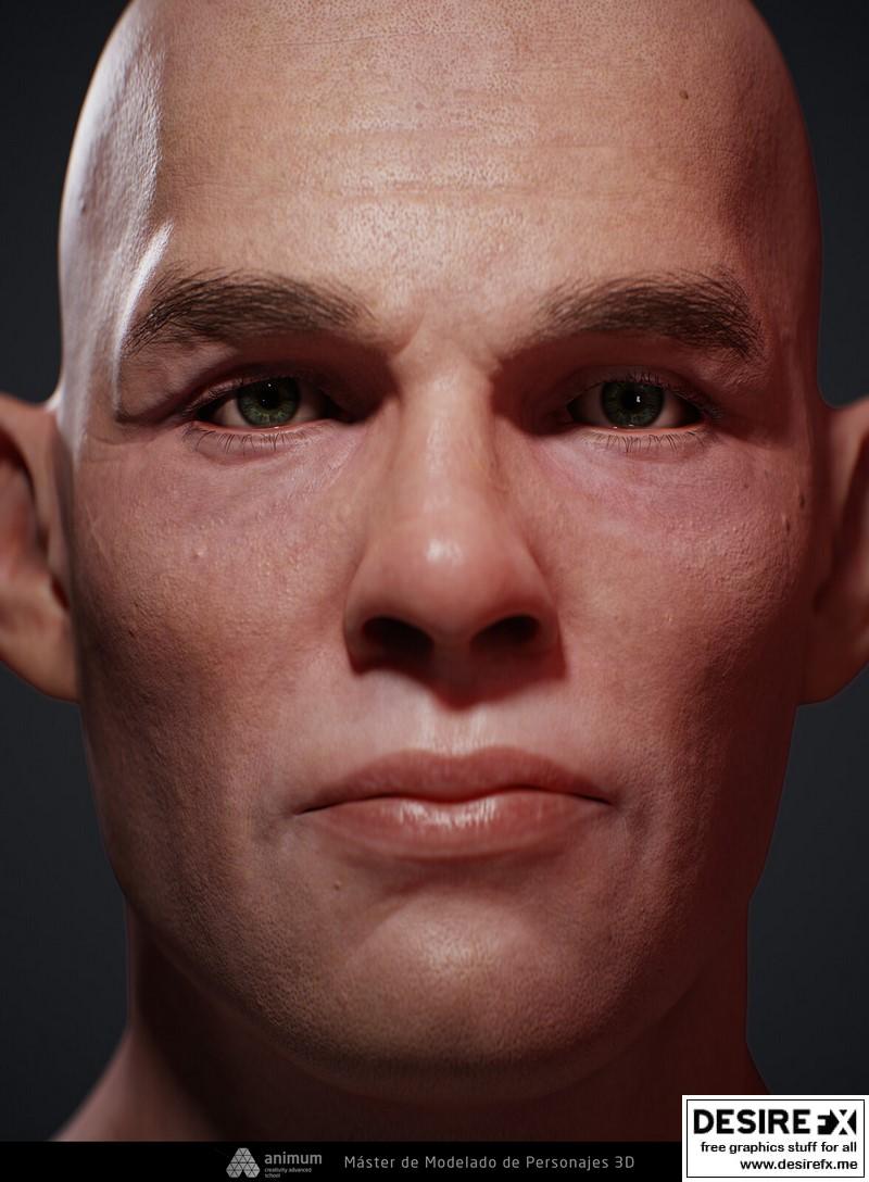 Desire FX 3d models | Realistic Head