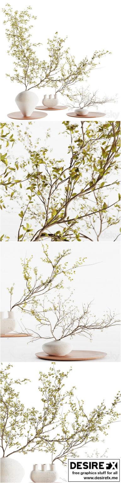 Desire FX 3d models | Plants collection set 5 – 3D Model
