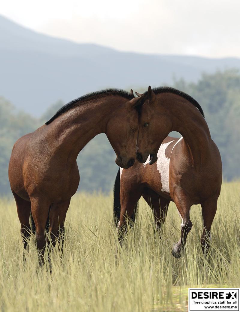 Horse Photoshoot — Equine Blog — Tori oc Photography