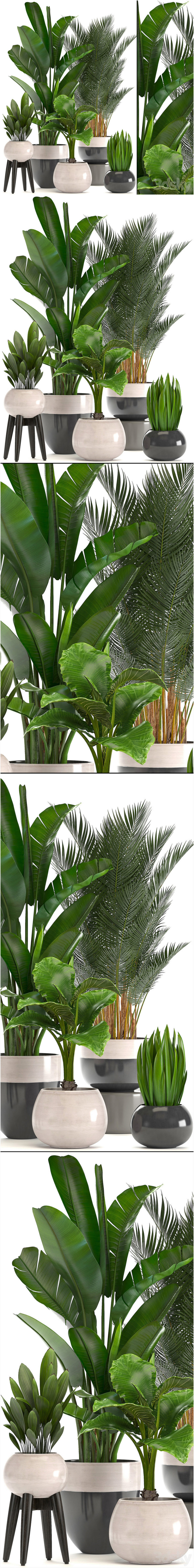 Curated visual reference: Visual Reference: Desire Fx 3D Models