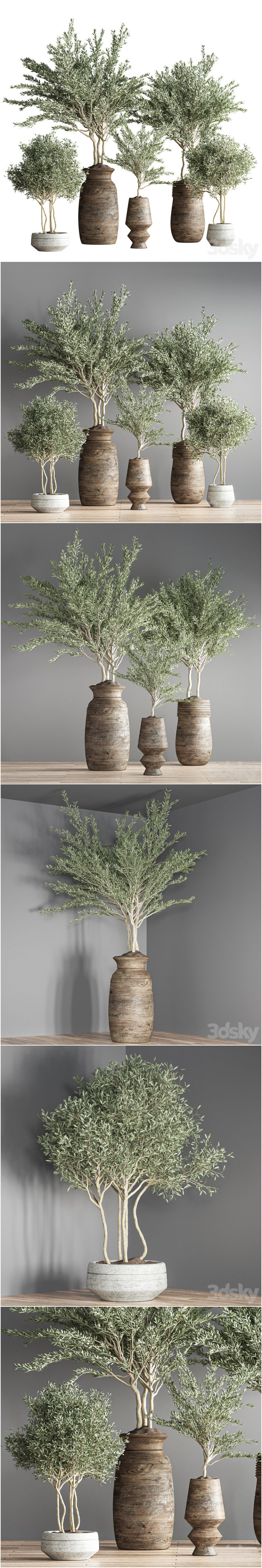 Desire FX 3d models | indoor plant set 23 – 3D Model