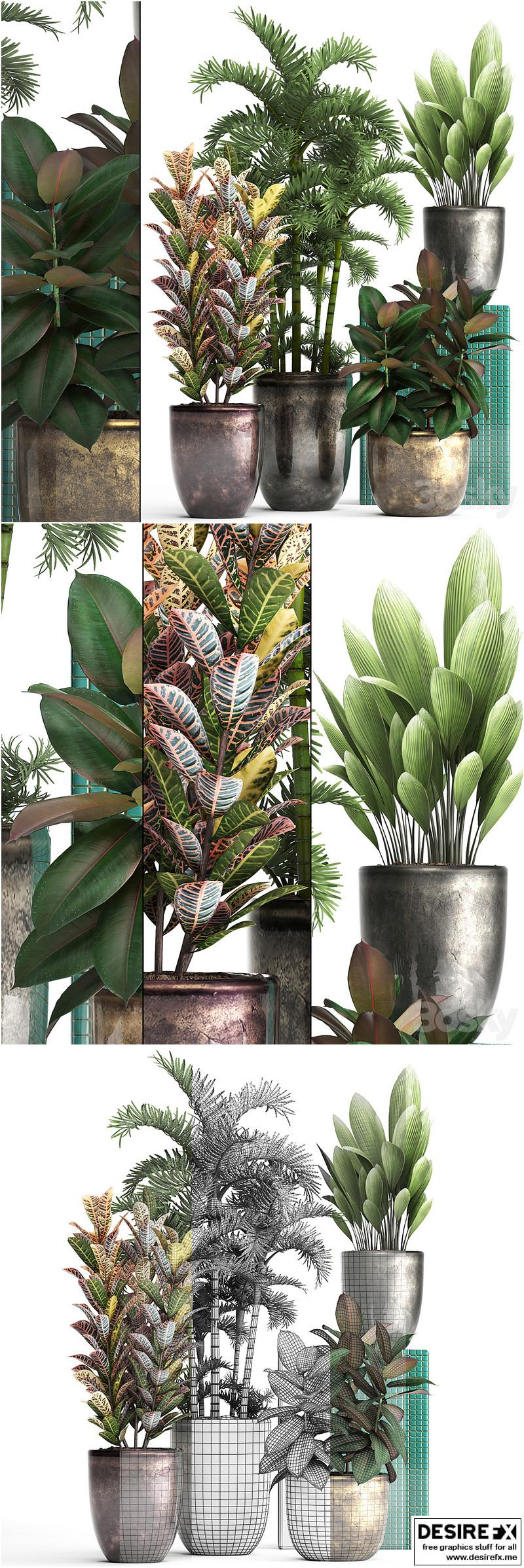 Plant collection 353. luxury, pot, flowerpot, indoor plants, Croton, palm grass, ficus robusta, areca palm – 3D Model