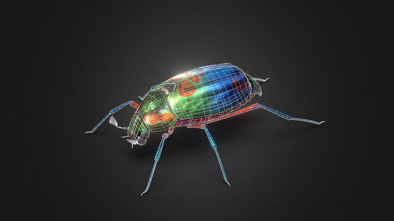 Desire FX 3d models | Bug Indian Jewel Beetle PBR VR Low-poly 3D model