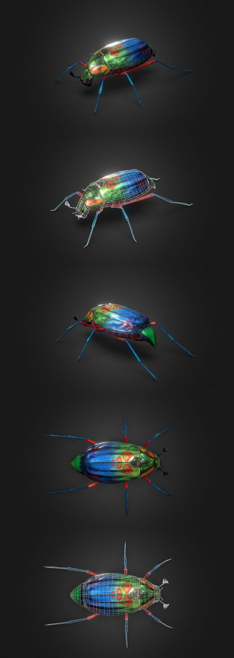 Desire FX 3d models | Bug Indian Jewel Beetle PBR VR Low-poly 3D model