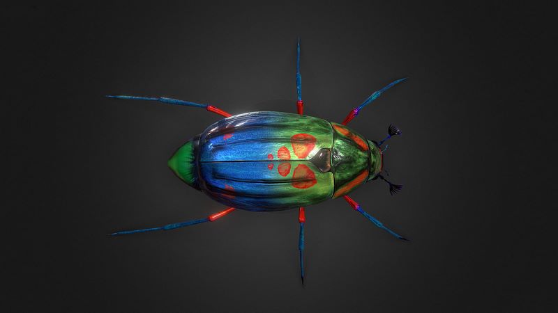 Desire FX 3d models | Bug Indian Jewel Beetle PBR VR Low-poly 3D model