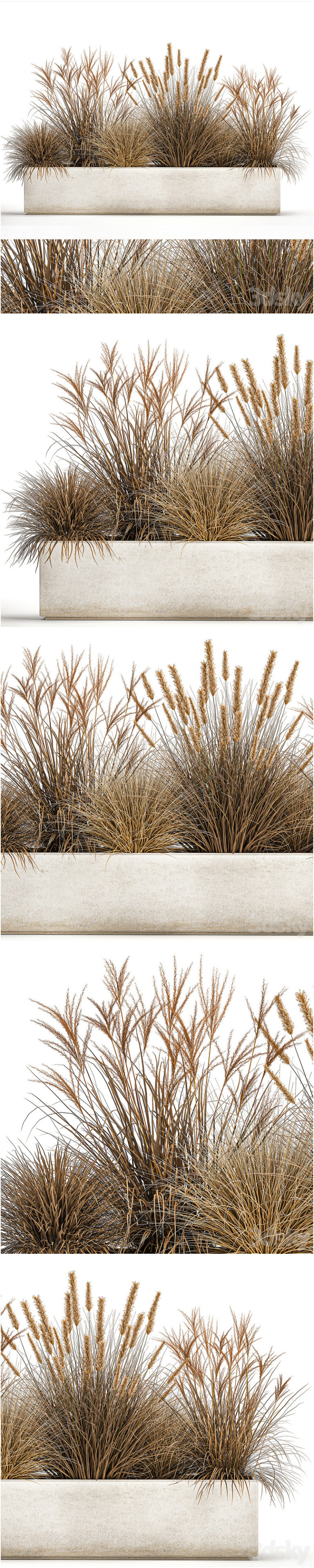 Bush Reeds Bush Pole Frame Desire FX 3d models | Plant collection 1072. pampas grass, reeds ...