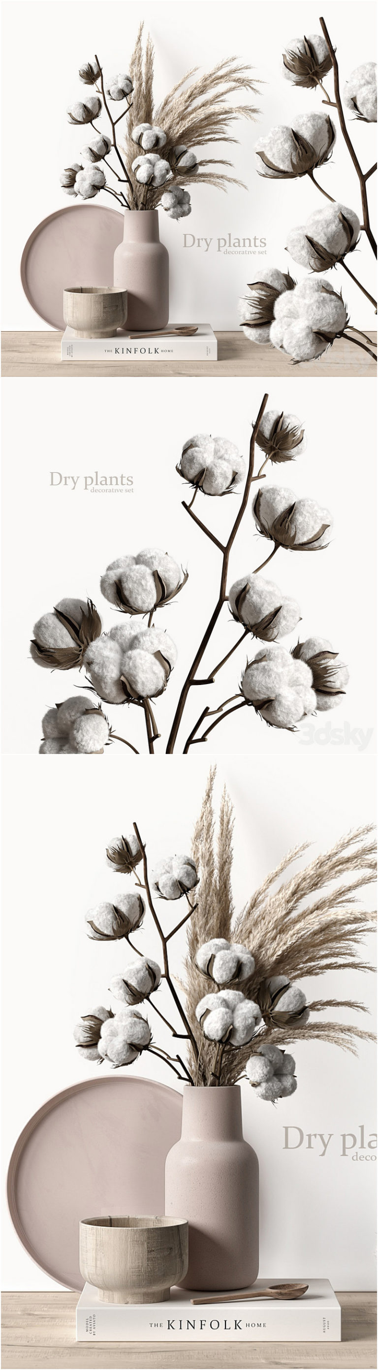 Desire FX 3d models | Decorative set with dry plants 5 – 3D Model