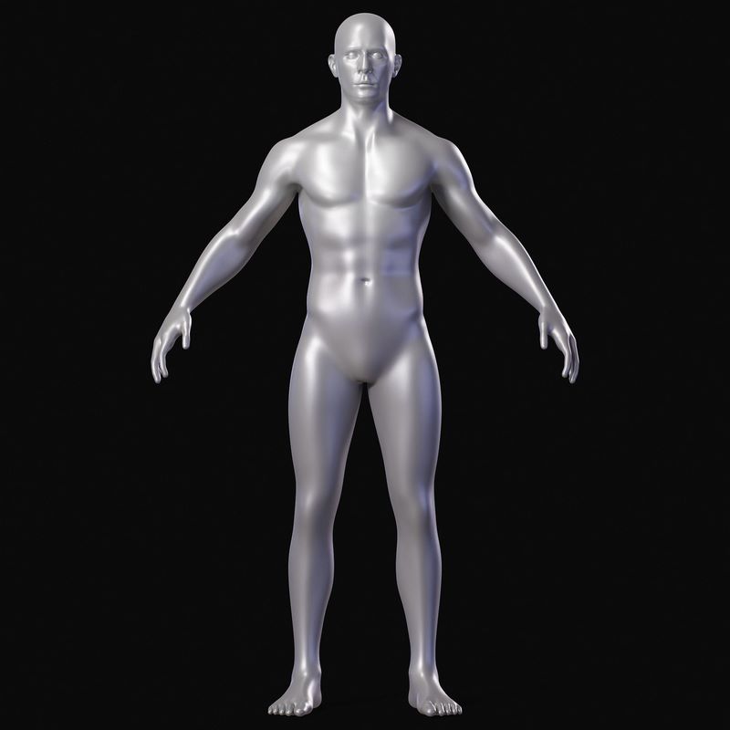 Desire FX 3d models | Realistic People Body Base Mesh Set 3D Model ...