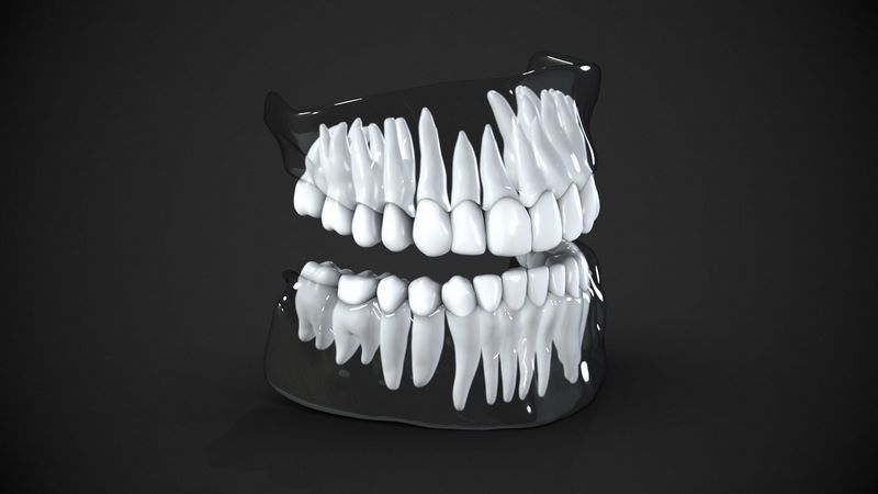 Tooth Image Real Desire FX 3d models | Dental anatomy Real human teeth anatomy medical ...