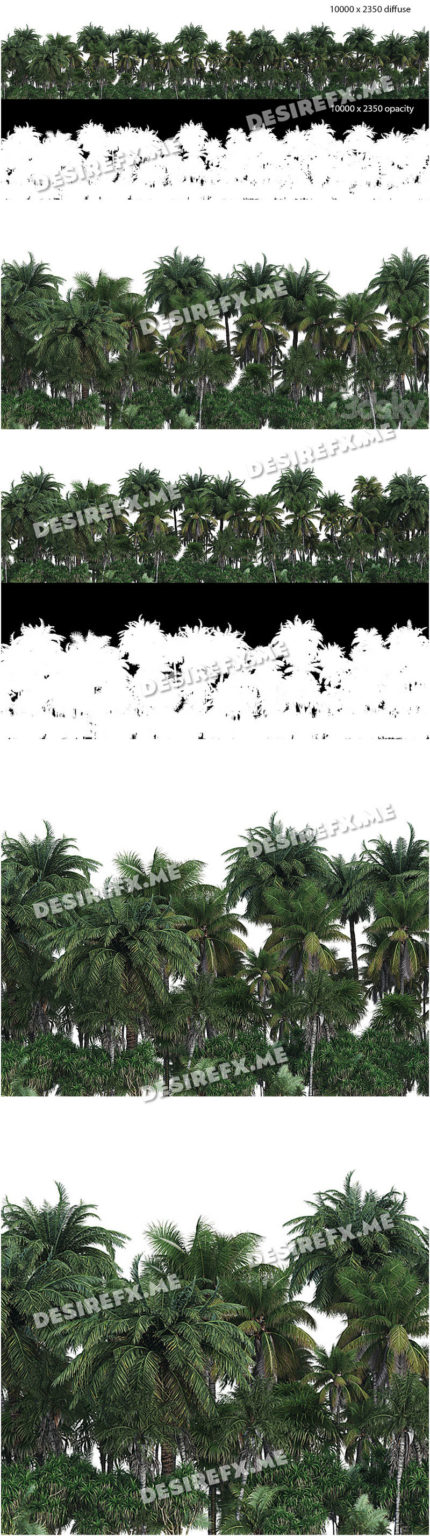 Desire FX 3d models | Palm Forest Panorama with Opacity Map – 3D Model
