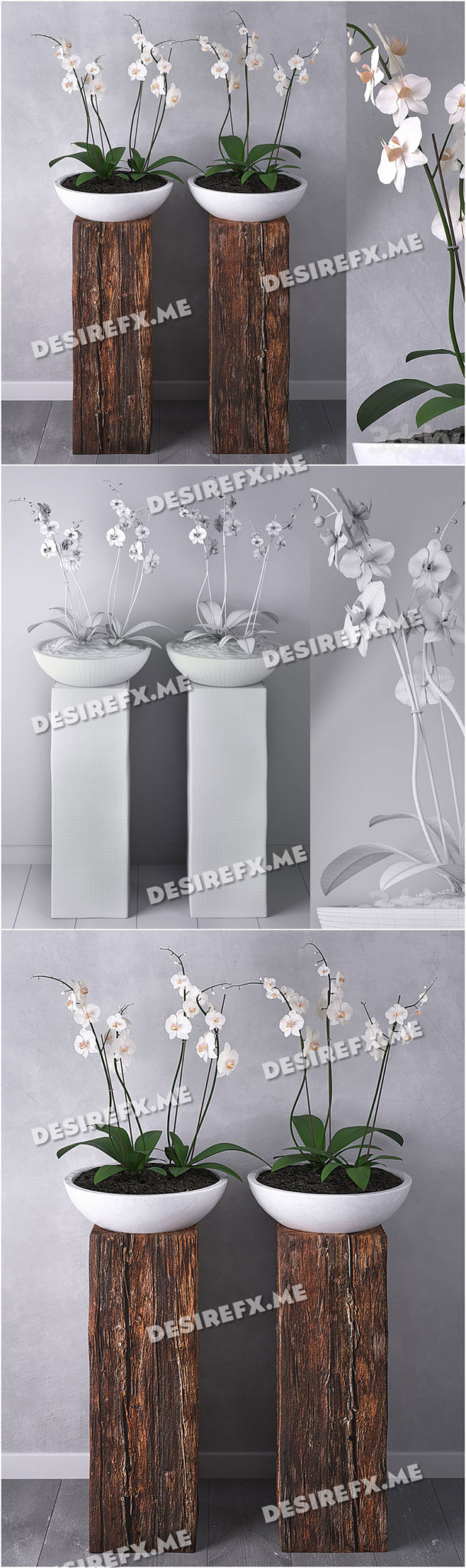 Desire FX 3d models | Orchid set 01 – 3D Model