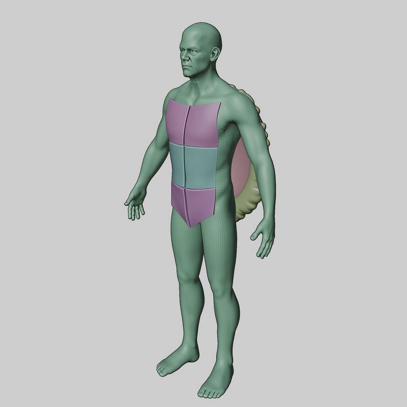 Desire FX 3d models | Turtles Shell from Teenage Mutant Ninja Turtles ...