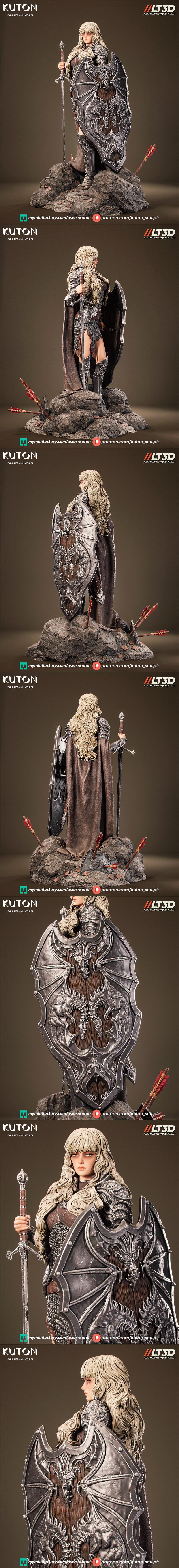 Female warrior Ardyn in chainmail armor, holding a sword and dragon-emblazoned shield, standing on a rocky base with...