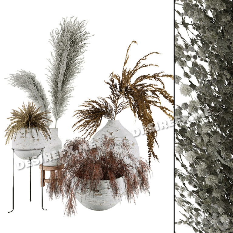 Desire FX 3d models | Plant Collection Set 01 – 3D Model
