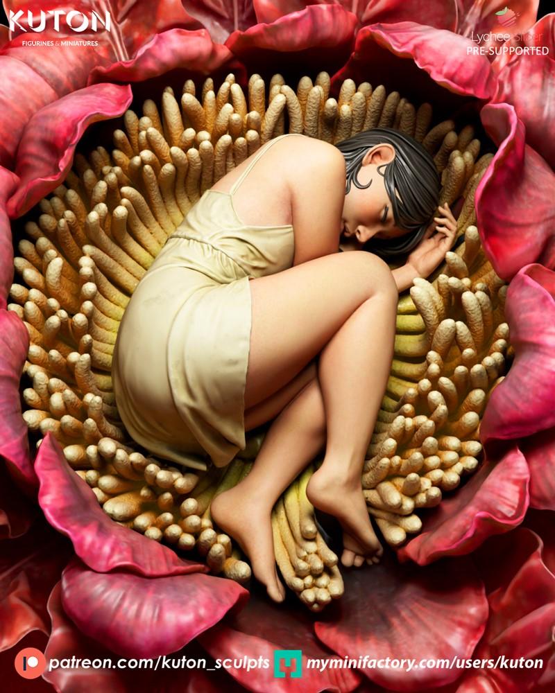 Serene female figure named Himlay sleeping curled up inside a large, detailed red and yellow flower. She wears a simp...