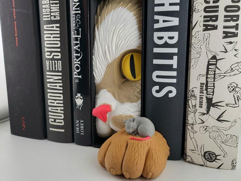 A 3D printed book nook insert featuring a large cat's eye and a small mouse sleeping on a paw, nestled between books...