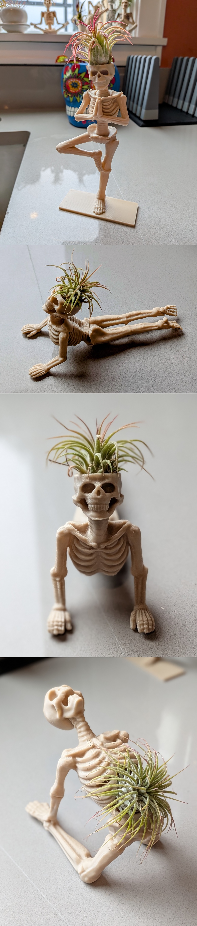Three 3D printed skeleton figures in yoga poses, holding air plants in their skulls. One stands in tree pose, another...