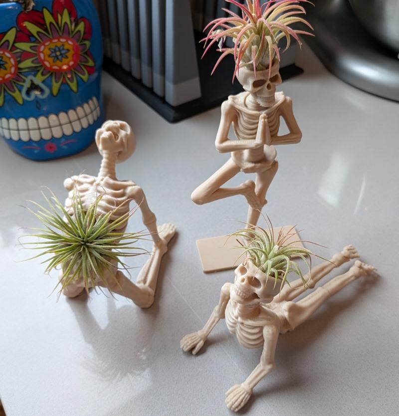 Three 3D printed skeleton figures in yoga poses, holding air plants in their skulls. One stands in tree pose, another...