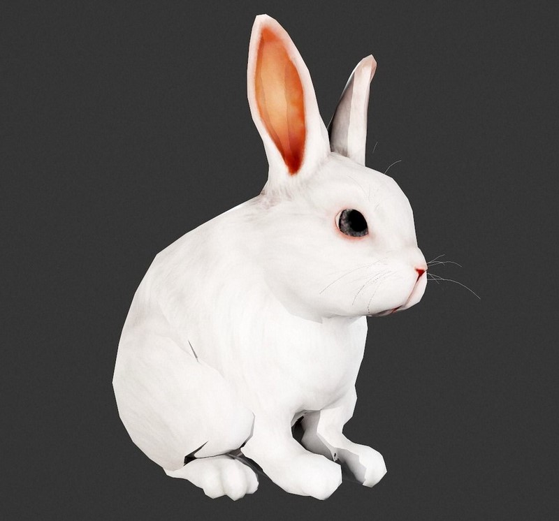 Desire FX 3d models | Animated white rabbit low-poly 3d model