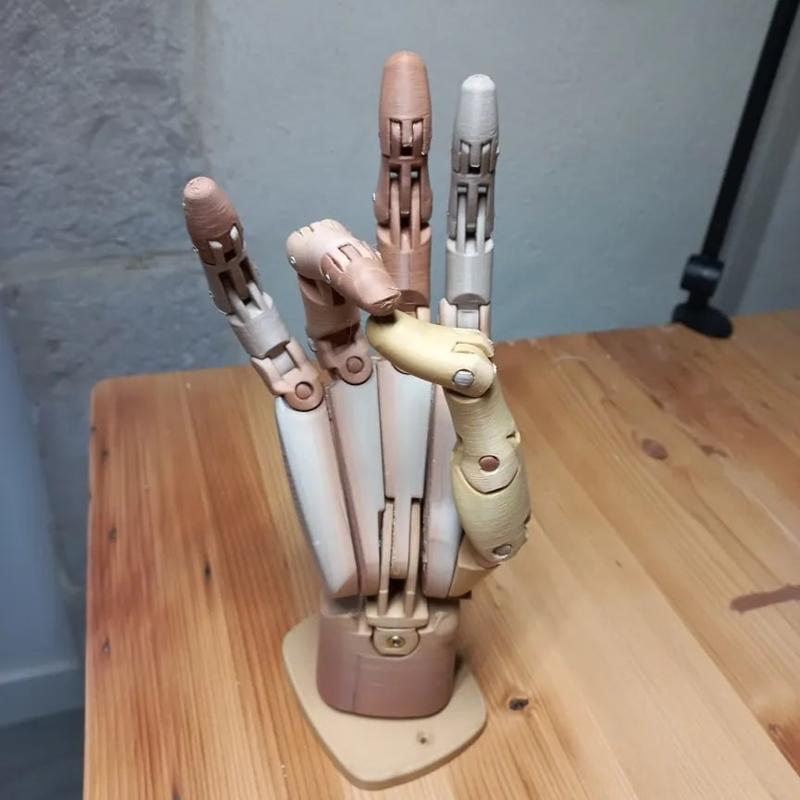Articulated mechanical hand with multiple articulated fingers and thumb, standing on a base. The hand is printed in b...