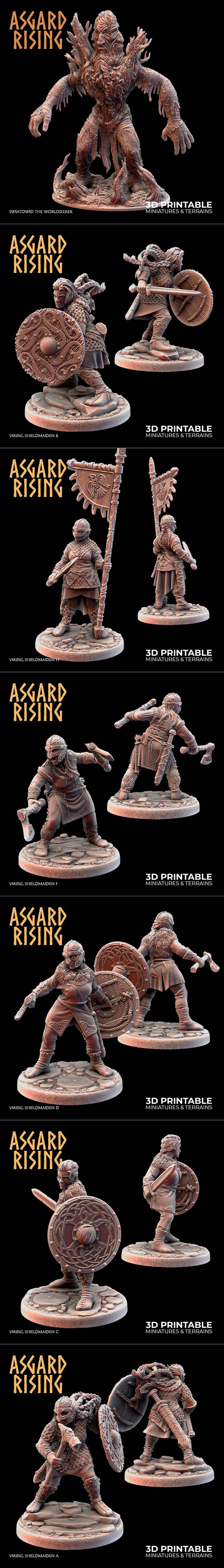 Collection of four Viking Shieldmaiden miniatures, each on a textured base, holding axes and shields. Intricate detai...
