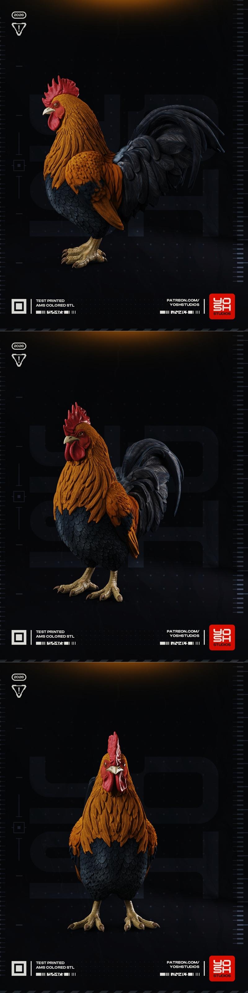 Realistic 3D model of a rooster with orange and black plumage, standing proudly.